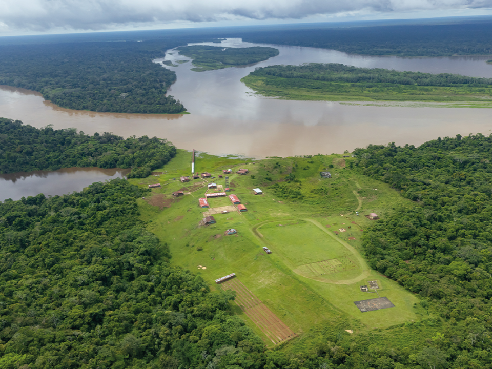 deforestación